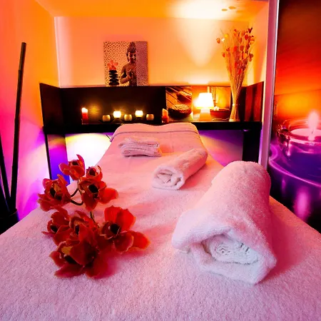 Отель The Originals City, Les Domes, Sud Saleilles 3*